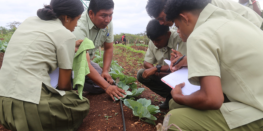 Belize: Boosting skills development